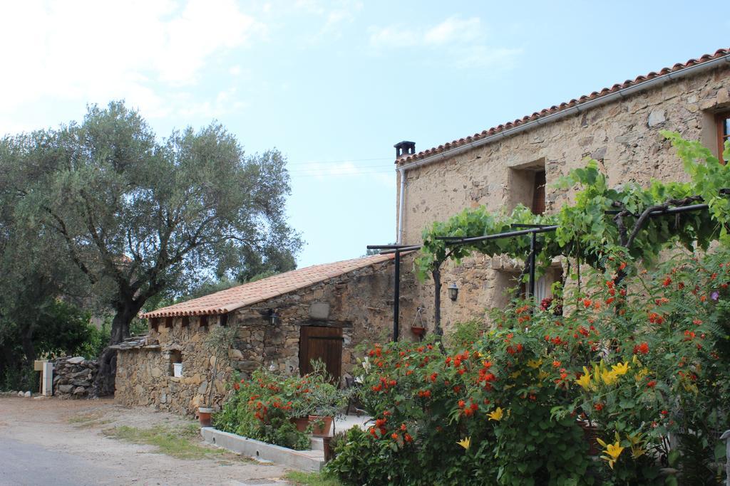 B&B Pietra-Monetta Pietra Moneta Экстерьер фото